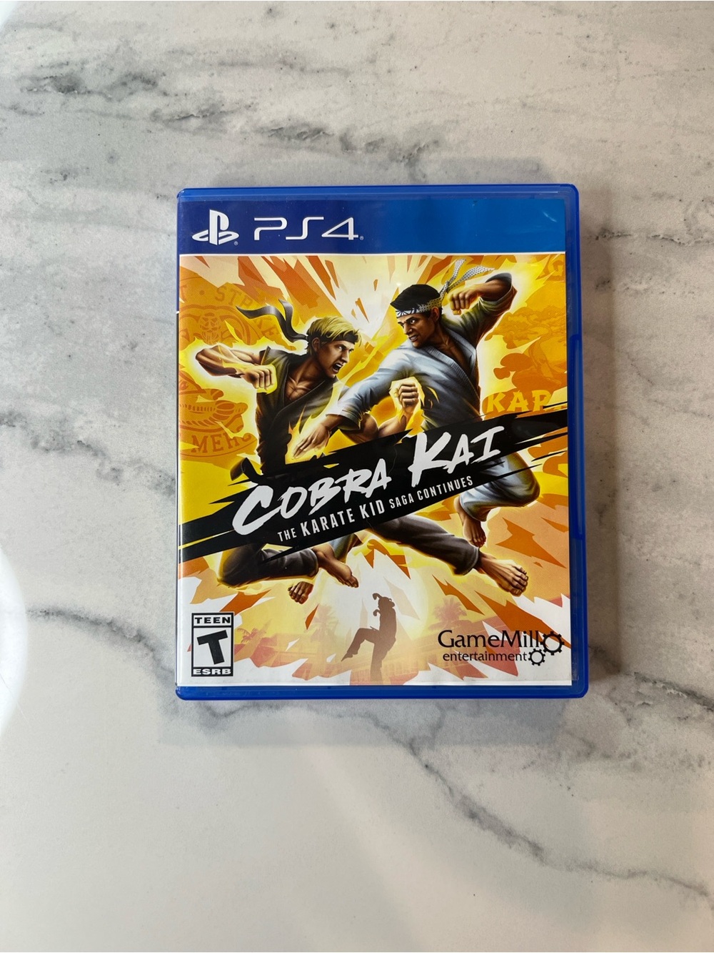 PS4 Cobra Kai Game